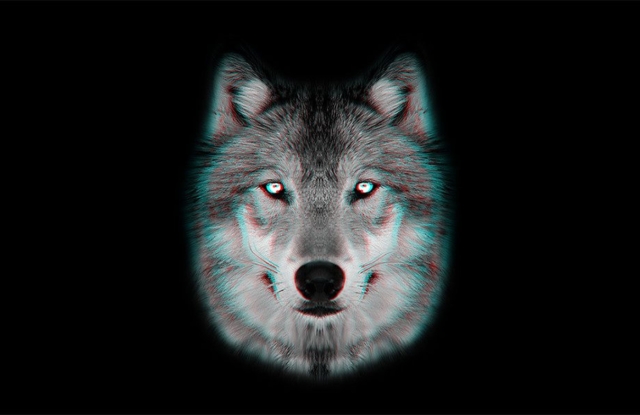 Portfolio 02